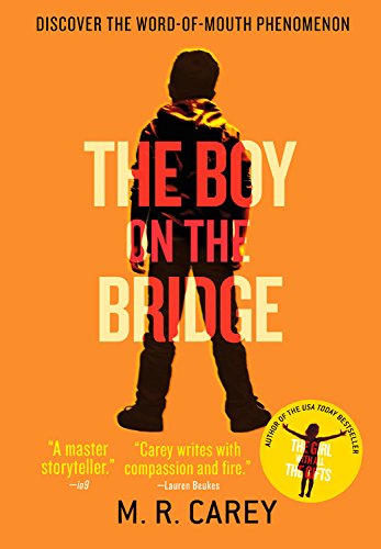 Book Cover The Boy on the Bridge