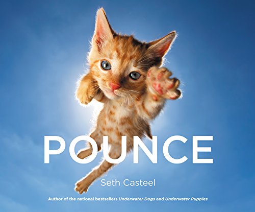 Book Cover Pounce