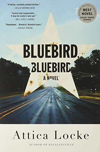 Book Cover Bluebird, Bluebird (A Highway 59 Novel, 1)