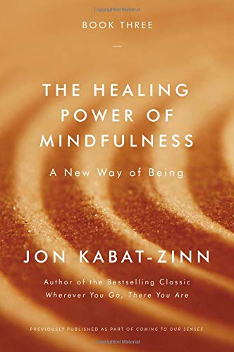 Book Cover The Healing Power of Mindfulness: A New Way of Being