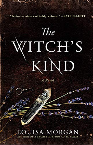 Book Cover The Witch's Kind: A Novel