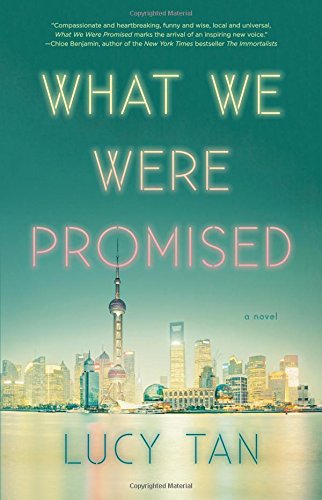 Book Cover What We Were Promised