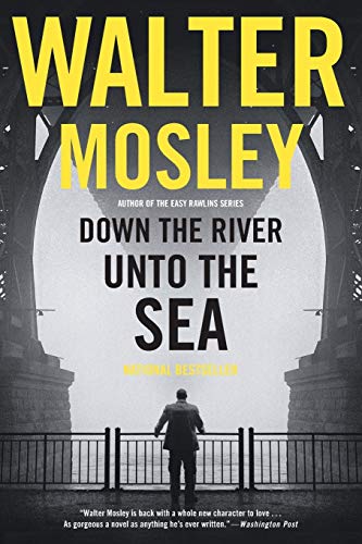 Book Cover Down the River Unto the Sea