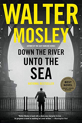 Book Cover Down the River unto the Sea