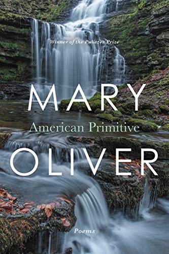 Book Cover American Primitive