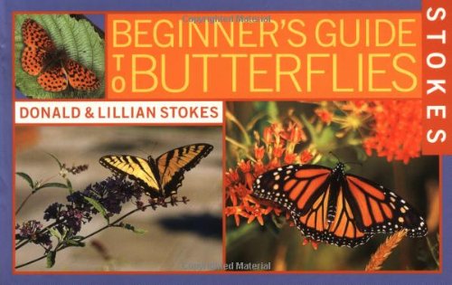 Book Cover Stokes Beginner's Guide to Butterflies