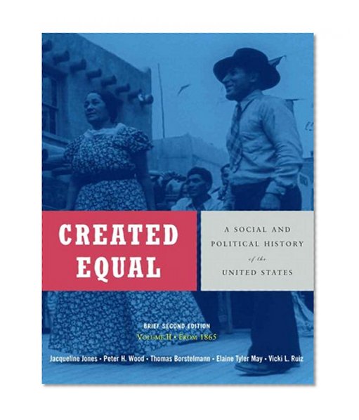 Created Equal: A Social and Political History of the United States, Brief Edition, Volume 2 (from 1865) (2nd Edition)