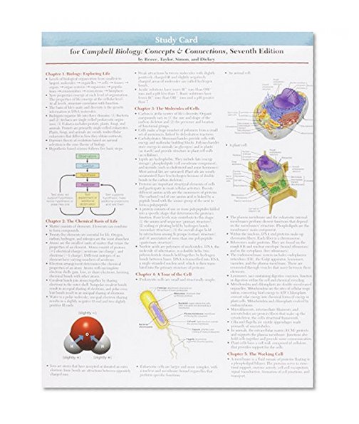 Study Card for Campbell Biology: Concepts & Connections