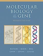 Molecular Biology of the Gene