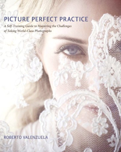 Book Cover Picture Perfect Practice: A Self-Training Guide to Mastering the Challenges of Taking World-Class Photographs (Voices That Matter)