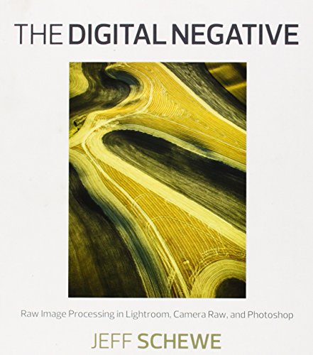 The Digital Negative: Raw Image Processing in Lightroom, Camera Raw, and Photoshop