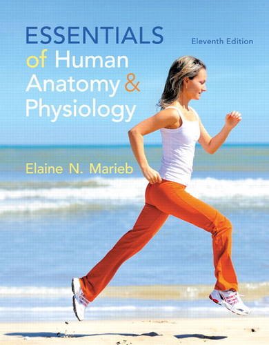 Book Cover Essentials of Human Anatomy & Physiology (11th Edition)