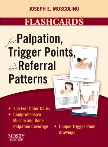 Flashcards for Palpation, Trigger Points, and Referral Patterns, 1e