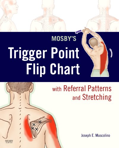 Mosby's Trigger Point Flip Chart with Referral Patterns and Stretching, 1e