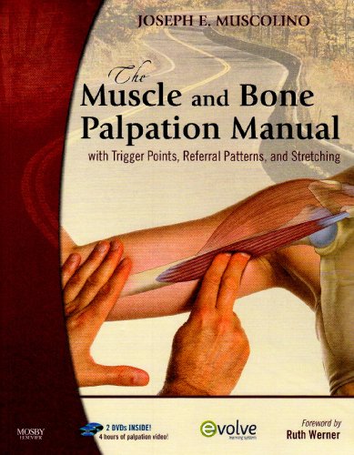 The Muscle and Bone Palpation Manual with Trigger Points, Referral Patterns and Stretching - Text and Flashcards Package, 1e