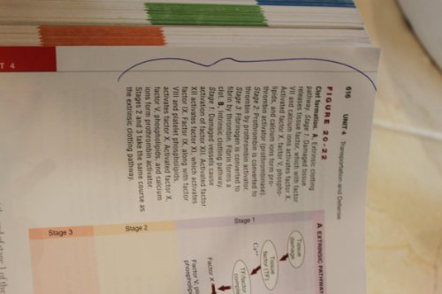 Anatomy & Physiology and Anatomy & Physiology Online Package, 8e (Anatomy & Physiology (Thibodeau))