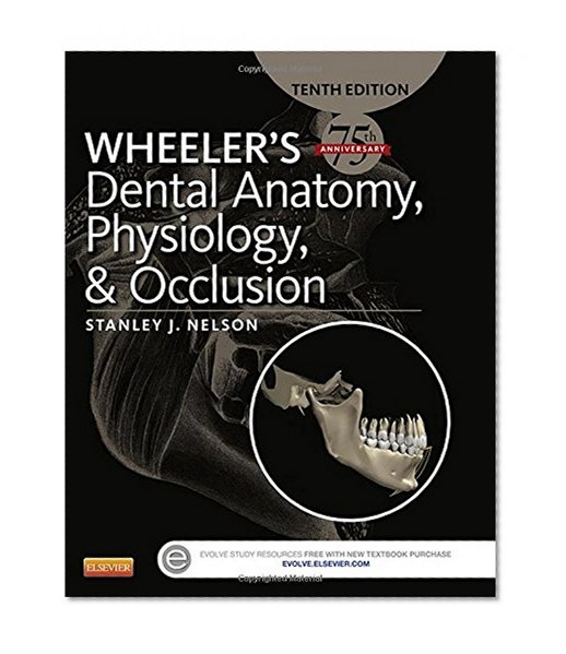 Book Cover Wheeler's Dental Anatomy, Physiology and Occlusion, 10e