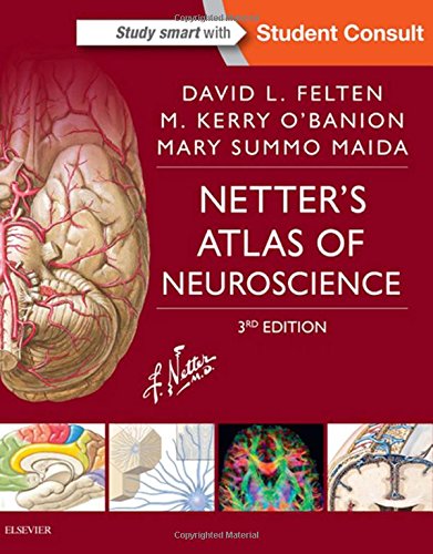 Book Cover Netter's Atlas of Neuroscience (Netter Basic Science)