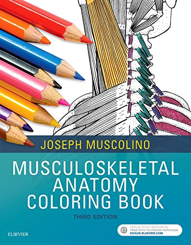 Book Cover Musculoskeletal Anatomy Coloring Book, 3e