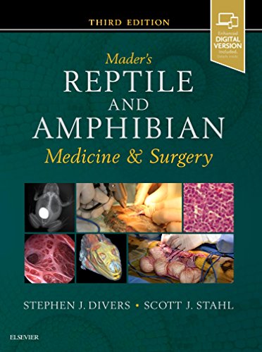 Book Cover Mader's Reptile and Amphibian Medicine and Surgery