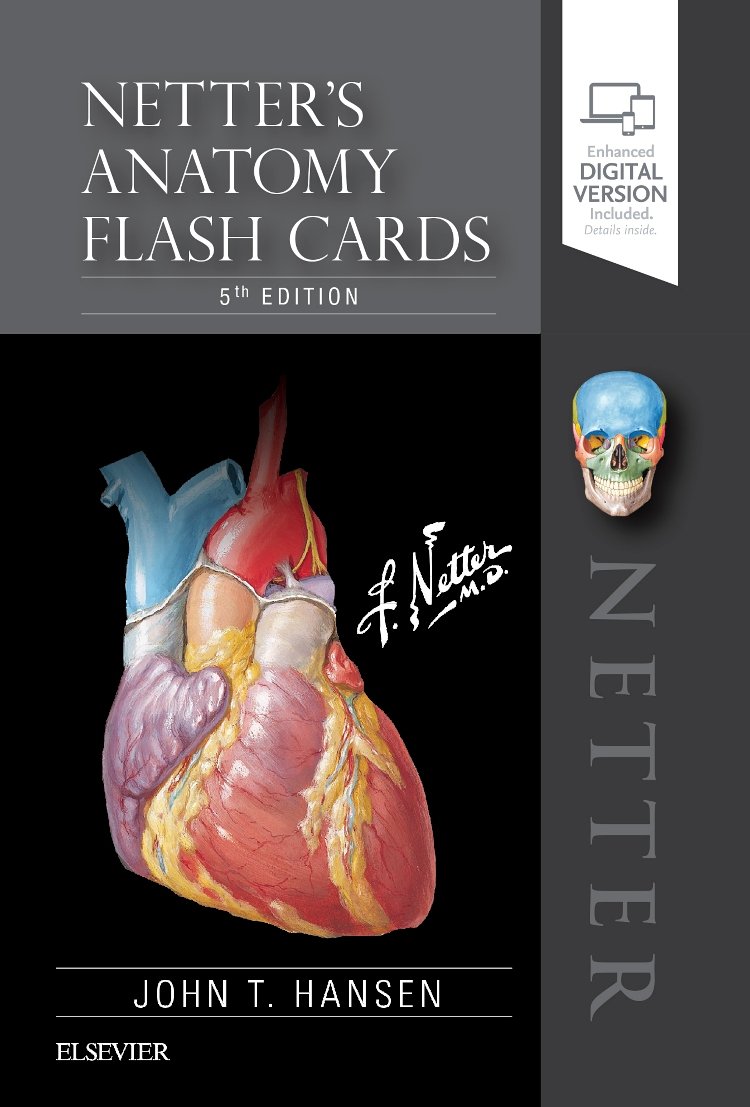 Book Cover Netter's Anatomy Flash Cards (Netter Basic Science)