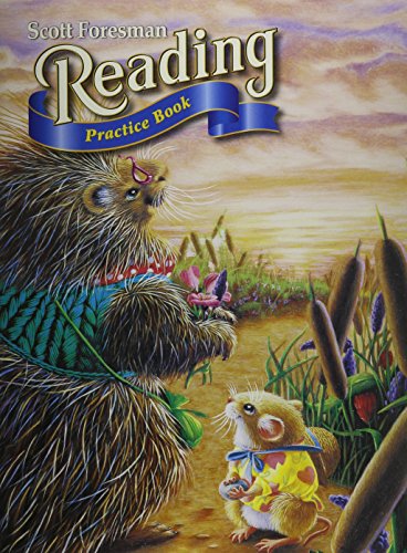 READING 2004 PRACTICE BOOK GRADE 1.6