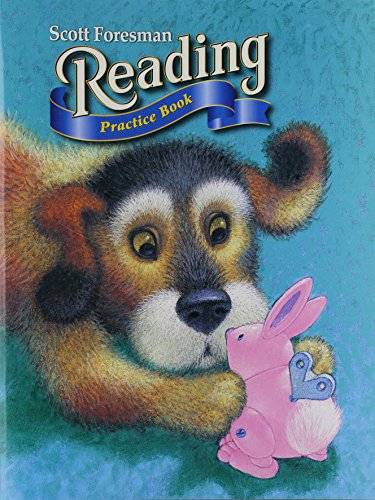 READING 2004 PRACTICE BOOK GRADE 2.1