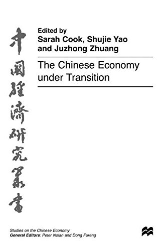 The Chinese Economy under Transition (Studies on the Chinese Economy)