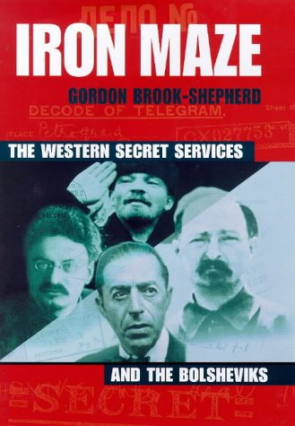 Iron Maze the Western Secret Services