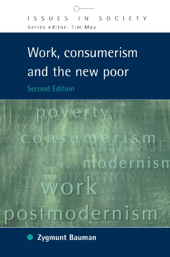 Work, Consumerism and the New Poor (Issues in Society)