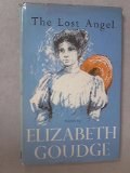 Lost Angel