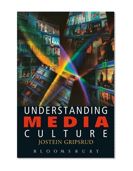 Understanding Media Culture (Hodder Arnold Publication)