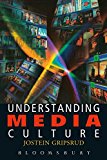 Understanding Media Culture (Hodder Arnold Publication)
