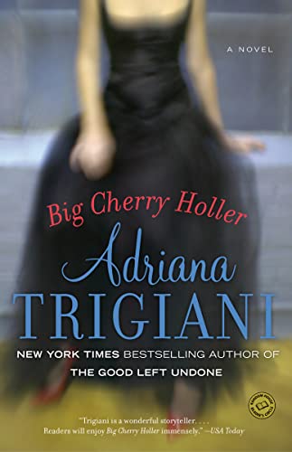 Book Cover Big Cherry Holler: A Novel (Big Stone Gap)