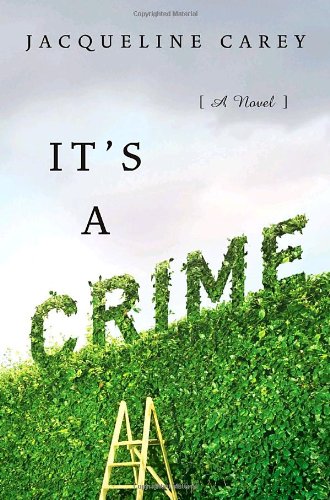 It's a Crime: A Novel