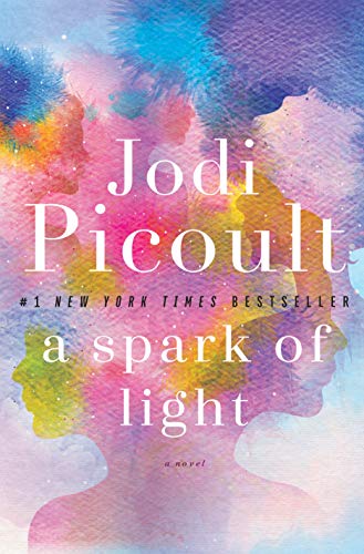 Book Cover A Spark of Light: A Novel