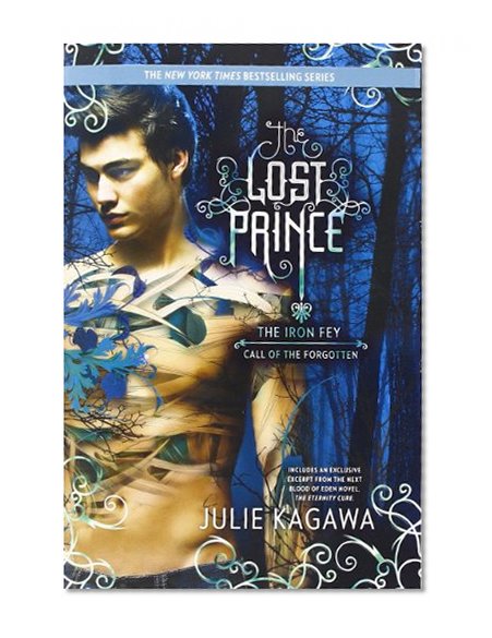 Book Cover The Lost Prince (The Iron Fey)