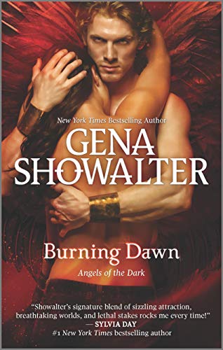 Book Cover Burning Dawn