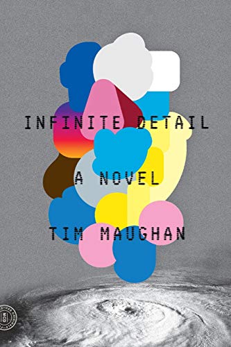 Book Cover Infinite Detail: A Novel