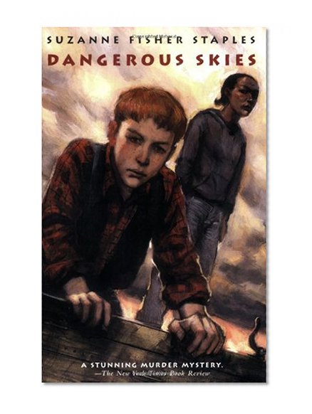 Book Cover Dangerous Skies