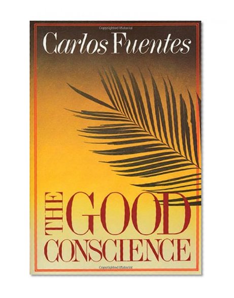 Book Cover The Good Conscience: A Novel