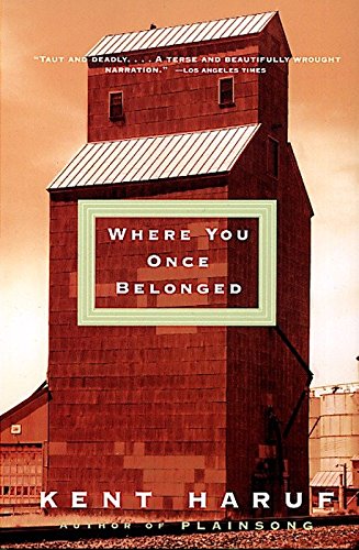 Book Cover Where You Once Belonged