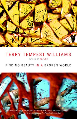 Book Cover Finding Beauty in a Broken World