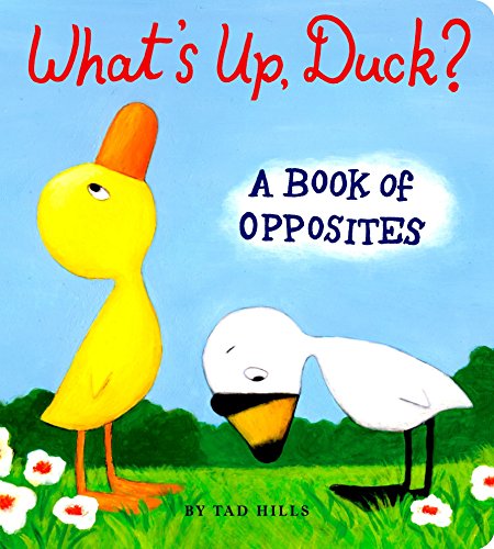 Book Cover What's Up, Duck?: A Book of Opposites (Duck & Goose)