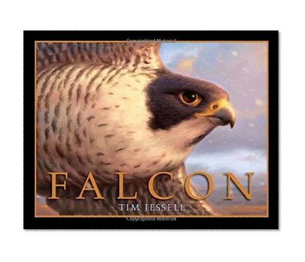 Falcon