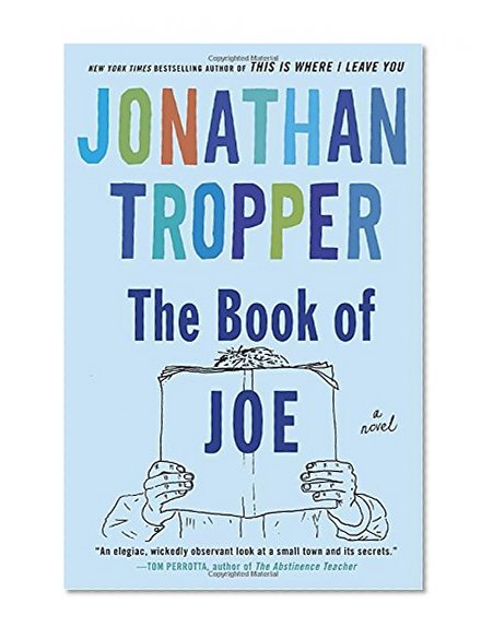 Book Cover The Book of Joe: A Novel