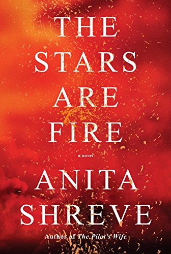 Book Cover The Stars Are Fire: A novel