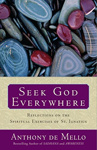 Book Cover Seek God Everywhere: Reflections on the Spiritual Exercises of St. Ignatius