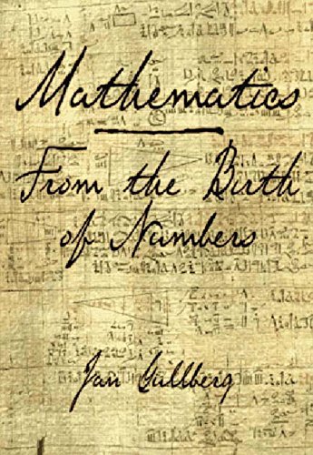 Book Cover Mathematics: From the Birth of Numbers
