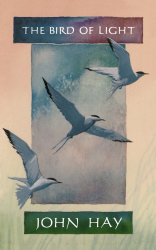 The Bird of Light